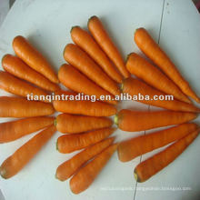 2012 chinese carrot